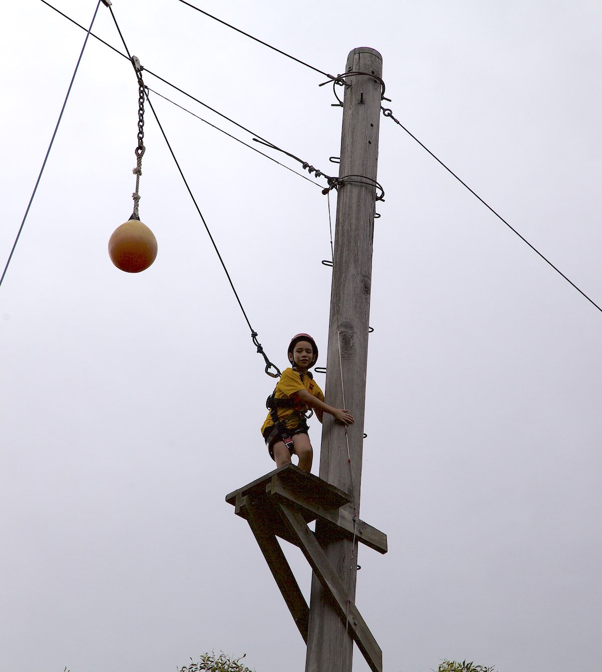 /uploaded_files/media/gallery/1500606412IMG_6362 copy.jpg